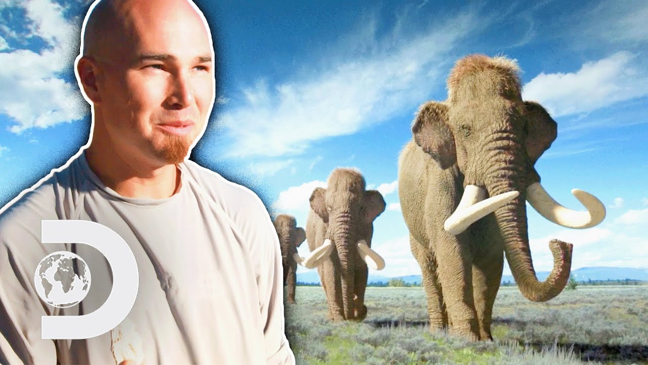 1930’s Map Helps Palaeontologist Find Mammoth Tusks | Dino Hunters