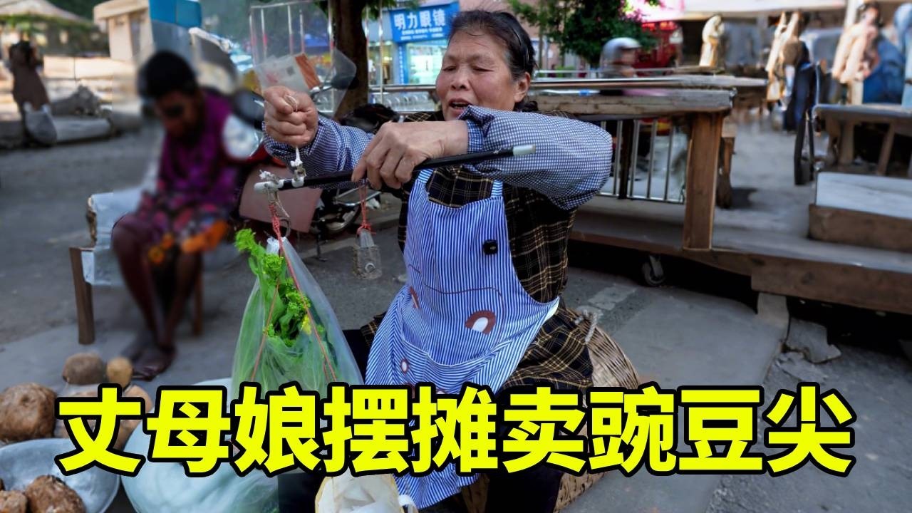 丈母娘现摘新鲜豌豆尖拿去卖，一天下来来往的买家真不少！【我是徐三娃】