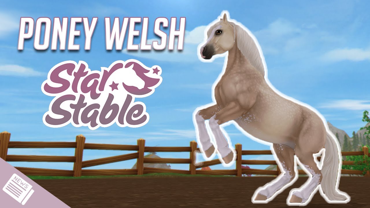 Achat d'un PONEY Welsh | Star Stable - SSO