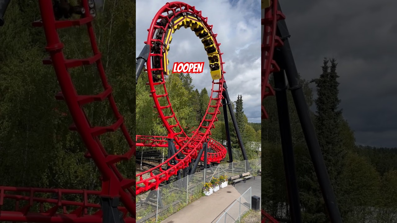 Loopen looping rollercoaster at Tusenfryd #rollercoaster #awesome #loop #tusenfryd