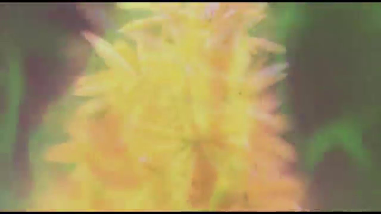Moiss - This Is Real (Subtitute EP Teaser Video)