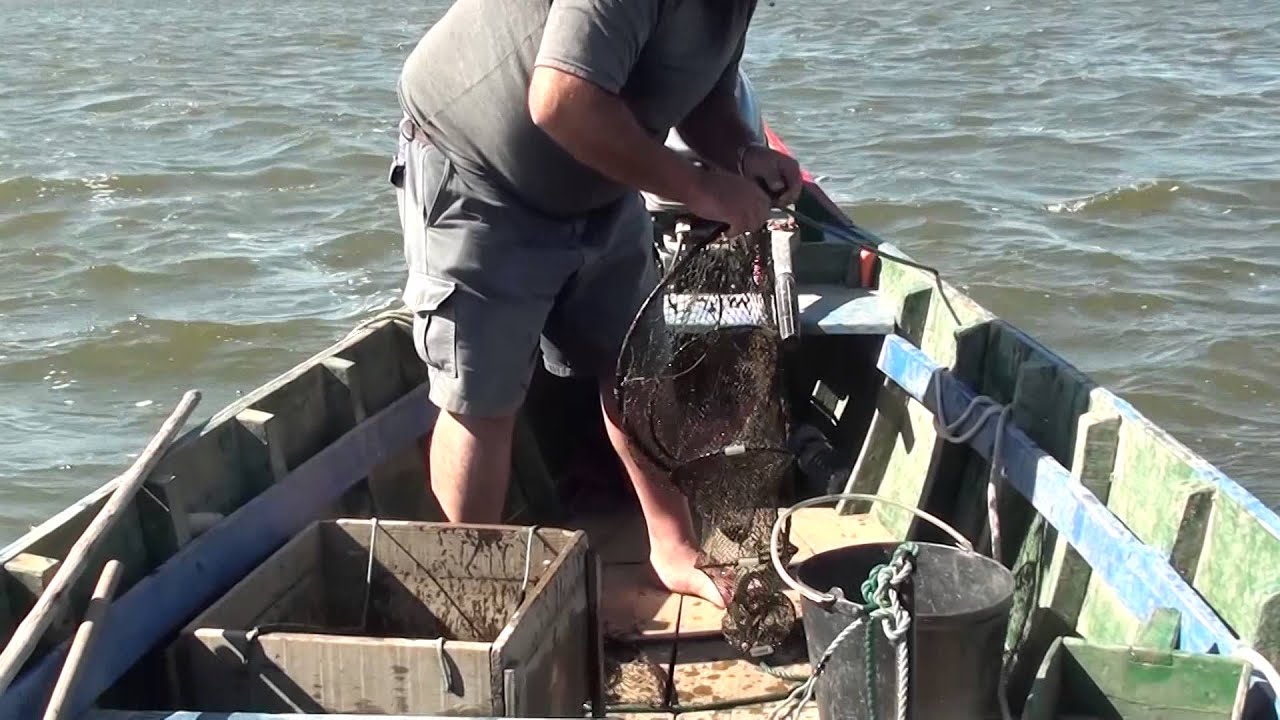Rio Tejo a dentro - A natureza e a pesca da Enguia