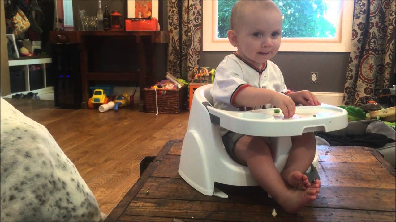 Baby Feeds Pit Bull