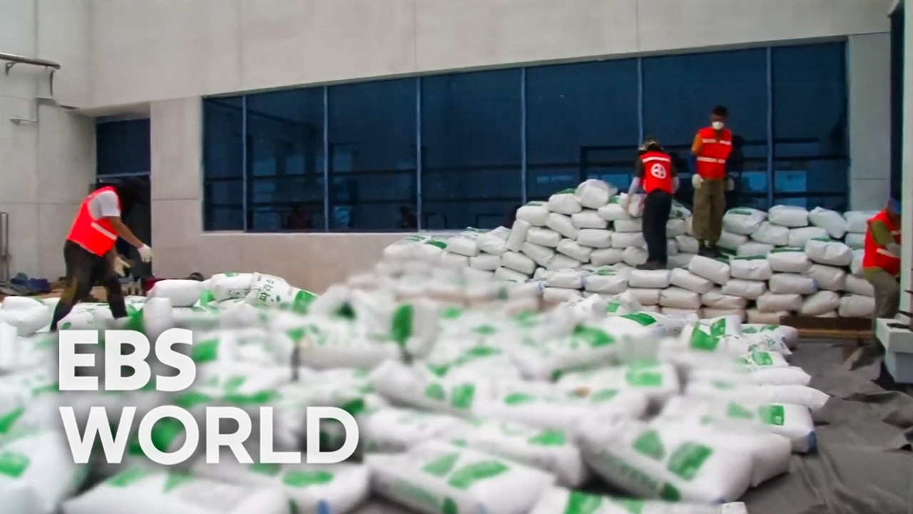 [ENG SUB] Building A Rooftop Garden With 3000 Bags Of Soil And Heavy Trees #PICKDOCU