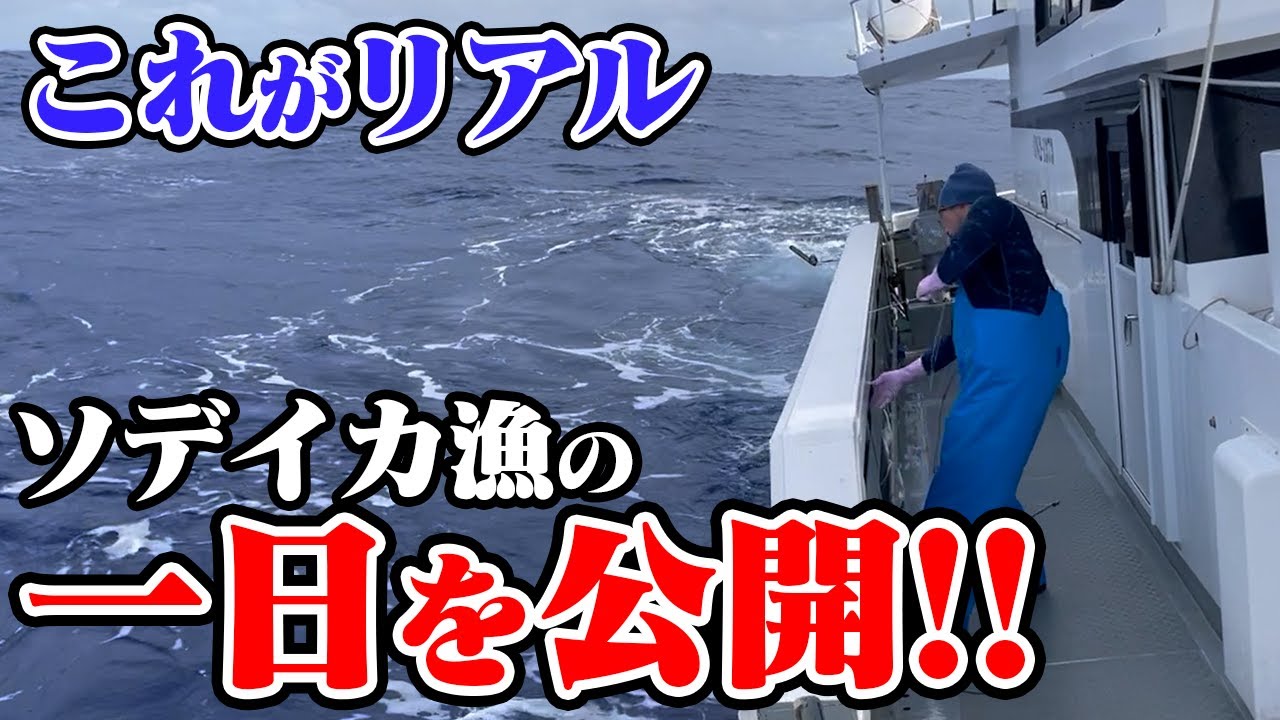 【一挙公開】ソデイカ漁のリアルな1日ルーティンを紹介します。