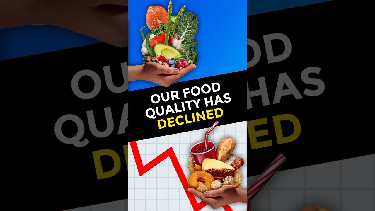 Our Food Quality Has Declined
