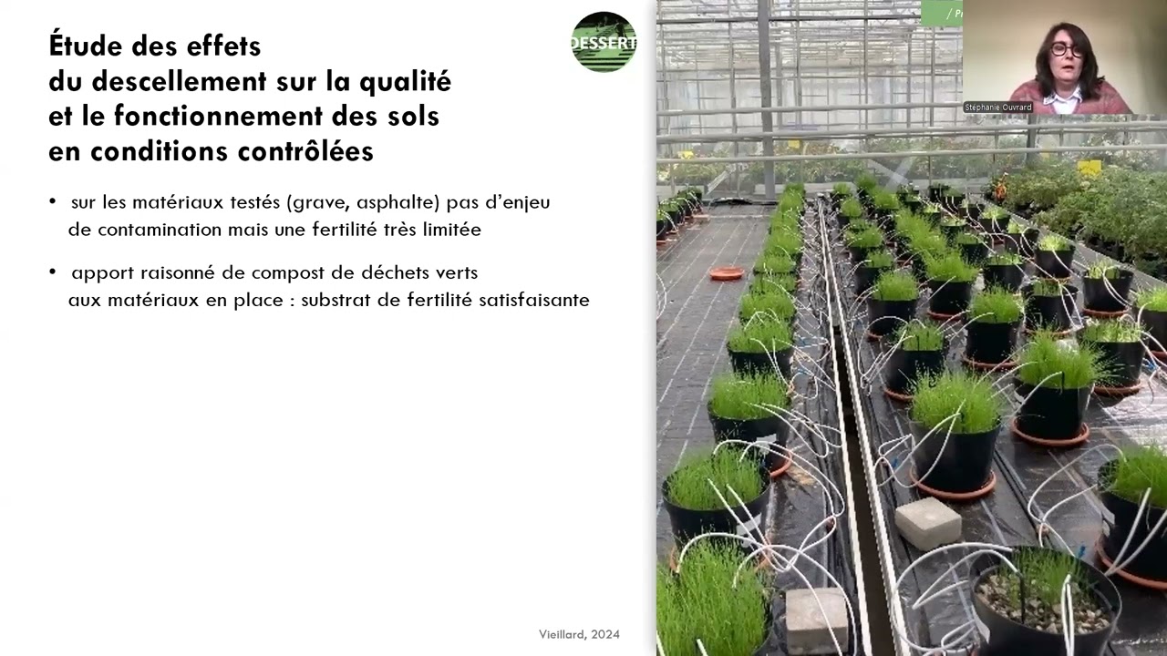 [Webinaire 2/2] Désimperméabiliser les sols urbains : programme Dessert - Enseignements généraux