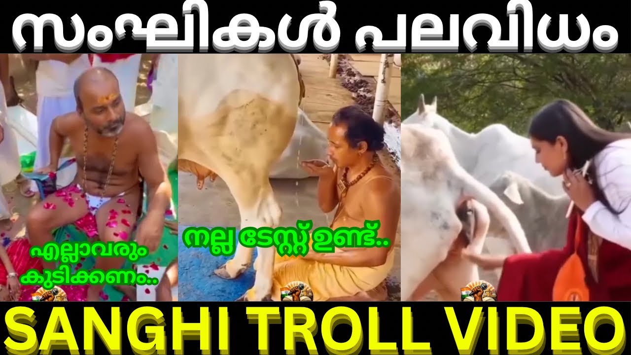 ഗോമൂത്രം പോലും വെറുതെ വിടില്ല 🤣 | sanghi cow urine | Troll malayalam video