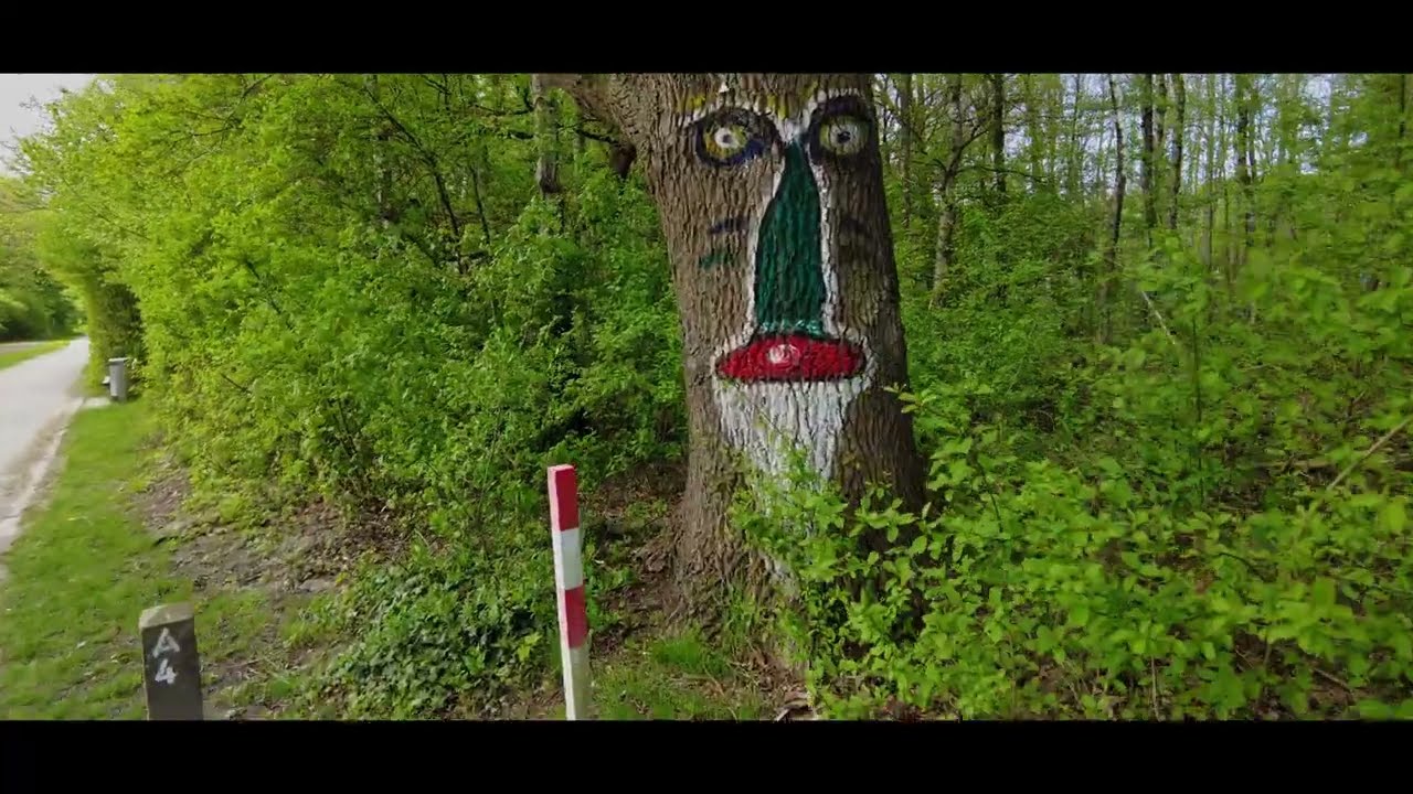 Selbachpark 2.0 I Cinematic Video I DJI Pocket 2 Mini 2