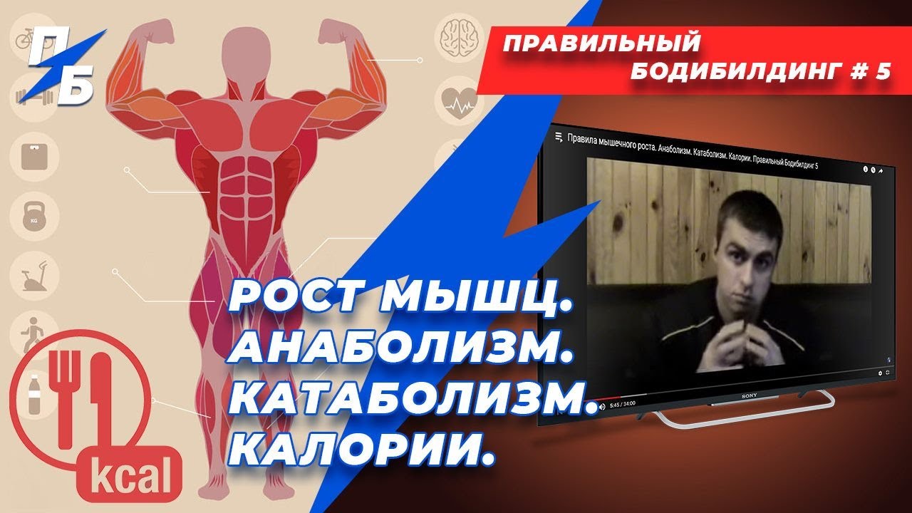 Рост мышц. Анаболизм. Катаболизм. Калории. Правильный Бодибилдинг 5.  Ремейк