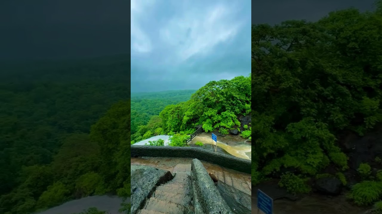 National park 🏞 #viralvideos #trendingreels #explorepage #instagram #nechar #borivali