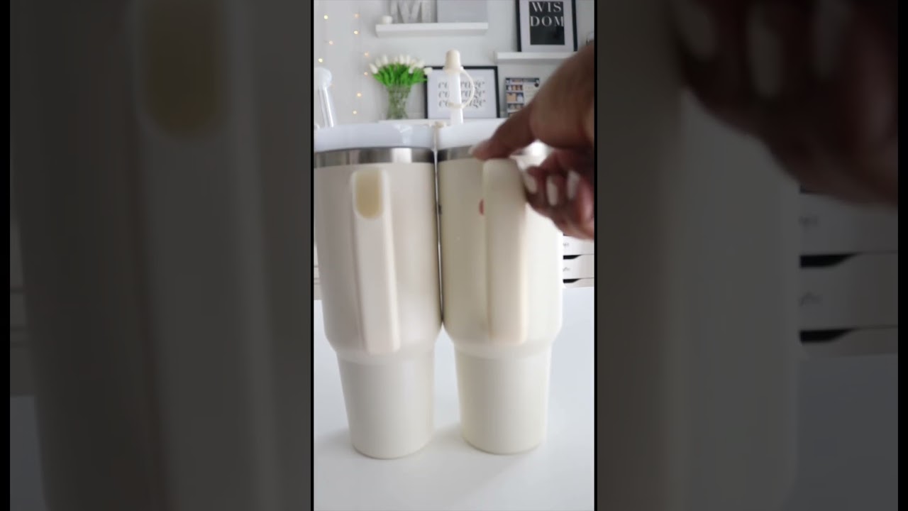 Temu vs Stanley: Tumblers