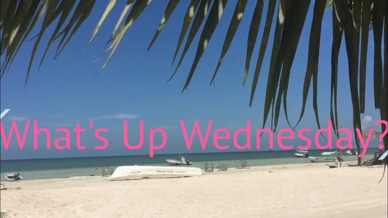 Flex Beauty Cosmetics, That's What!  🇺🇲🌴🦩💗