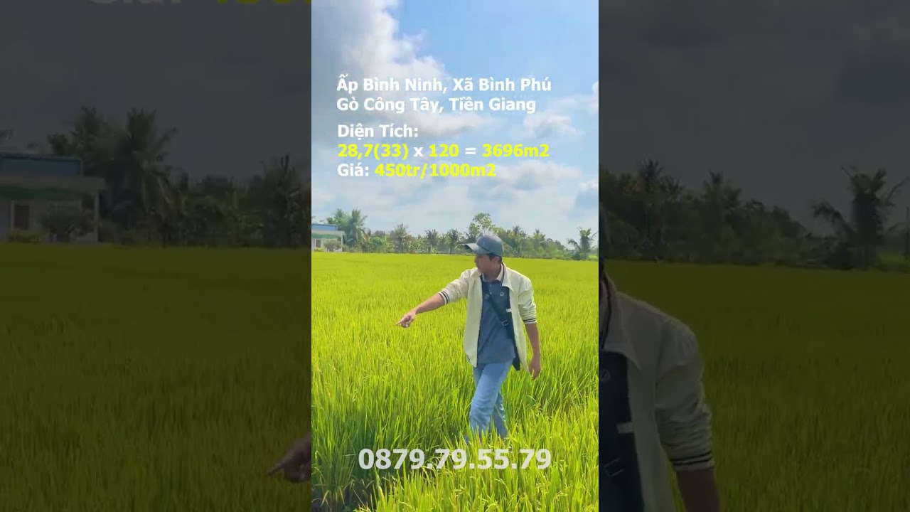 3696m2 đất lúa - 450tr/1000m2 . Bình Phú - Gò Công Tây, Tiền Giang