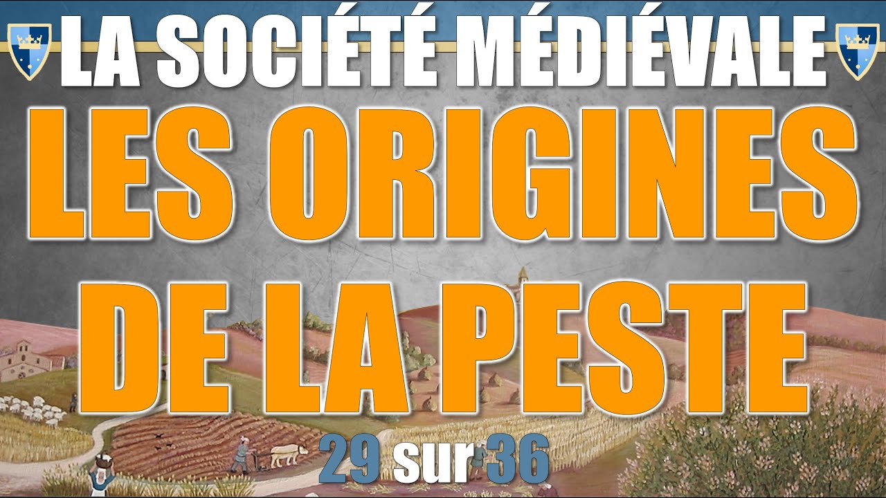 Société médiévale - 29 Les origines de la peste
