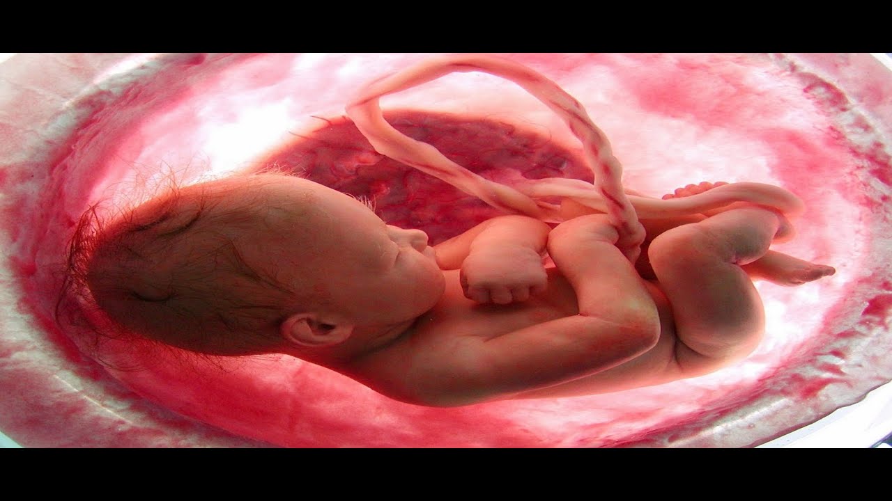 Best Gynecologist Doctor in Mumbai
