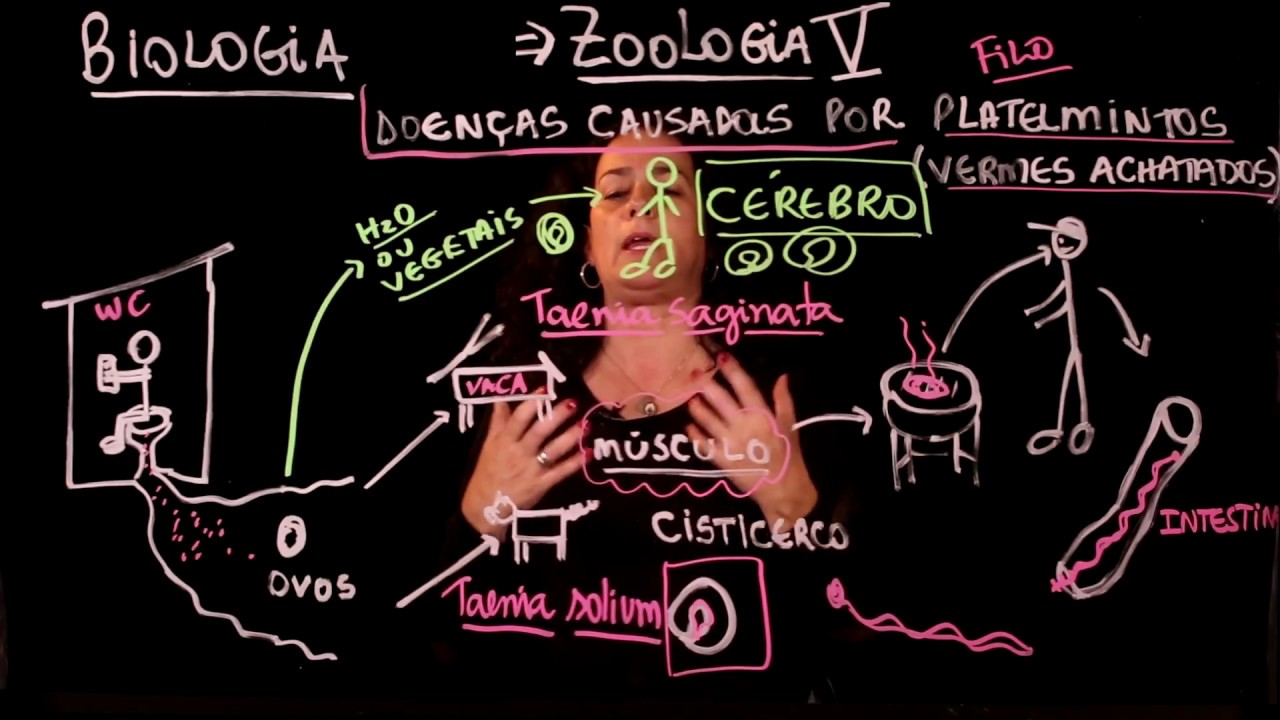 Aula 52 REINO ANIMAL Filo Platelmintos parte 2 Doenças - Aulas ENEM