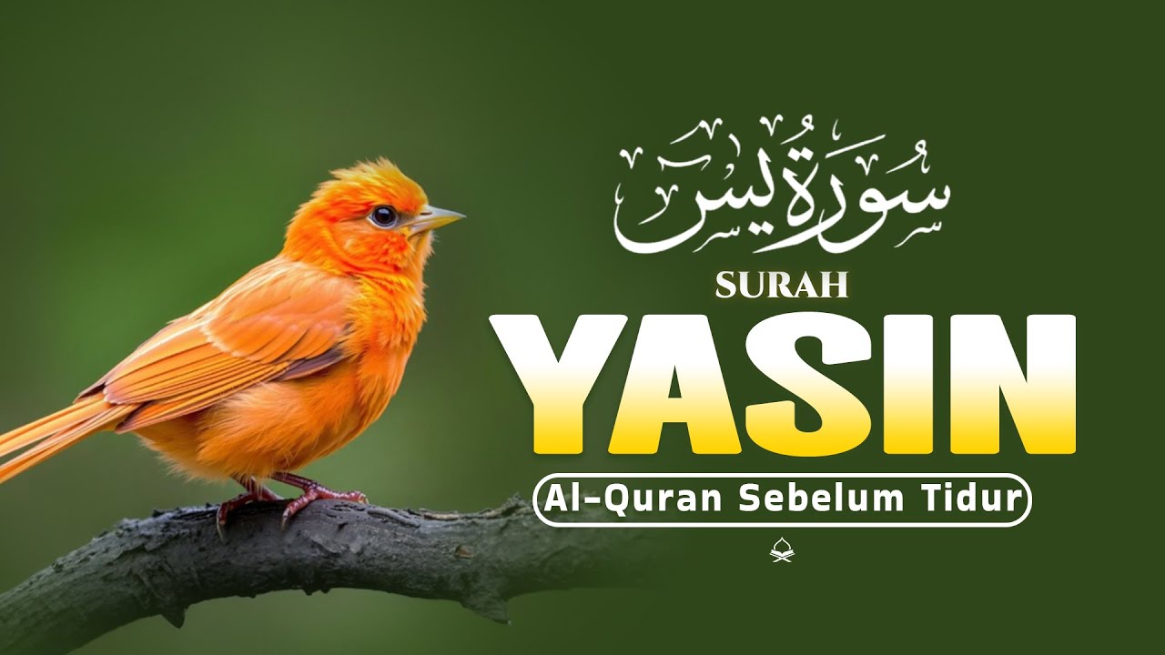 BACAAM AL-QURAN Yang Sangat Merdu Menangis | Suarh Yasin । Al-Quran Merdu TV