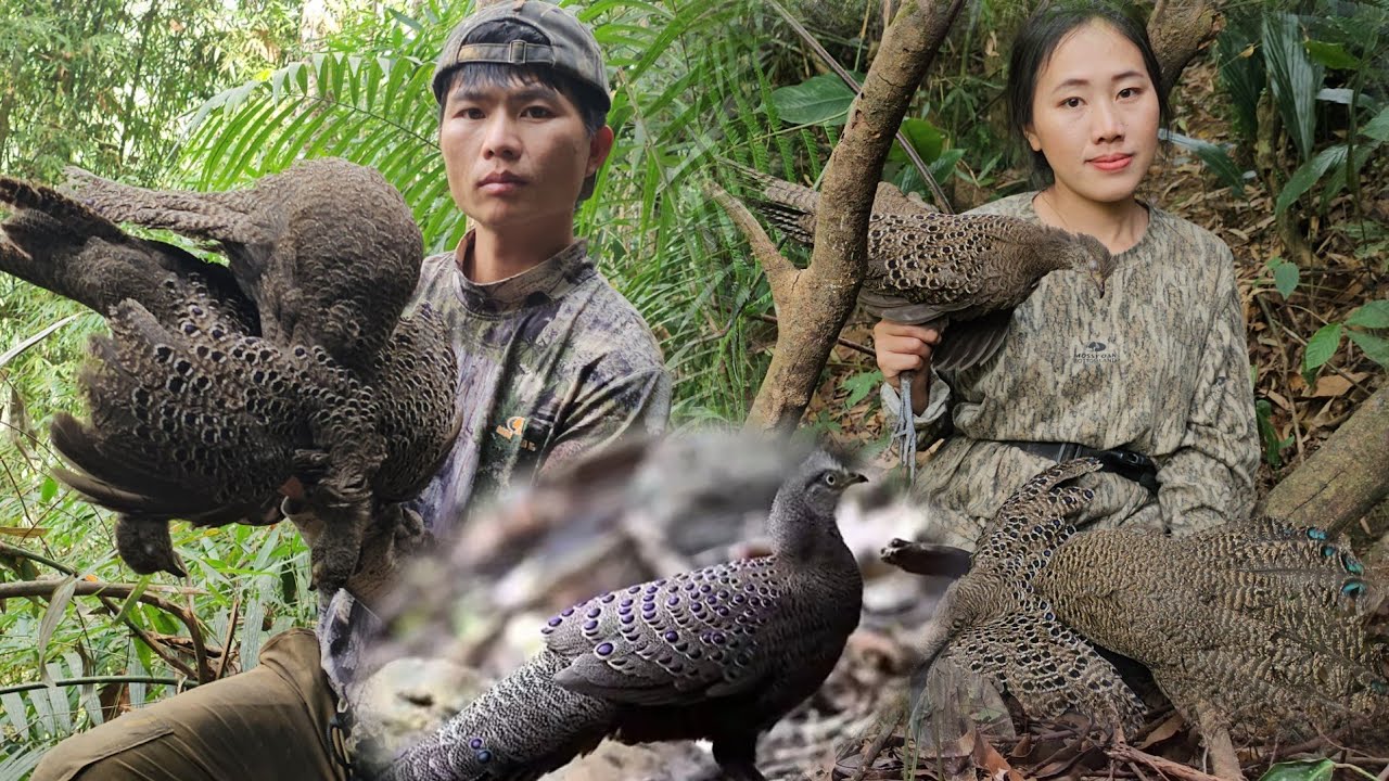 bird trap.Coj kuv tus hlub wb mus suav hlua ncaws mag hauj kawg li. ฉันและที่รักไปดูกับดักได้เยอะมาก