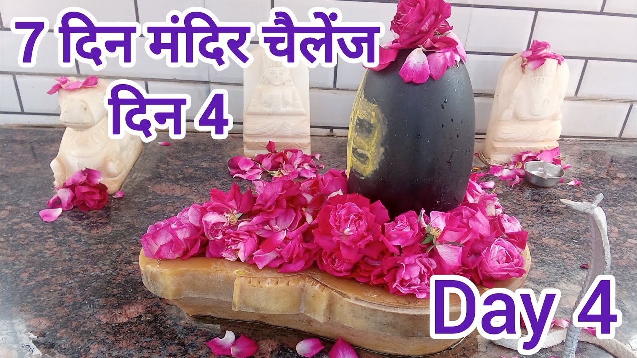 7 Day Temple Challenge 🙏 | Day 4 | रोज मंदिर जाने का संकल्प | शिव कृपा मिल रही है ❤️