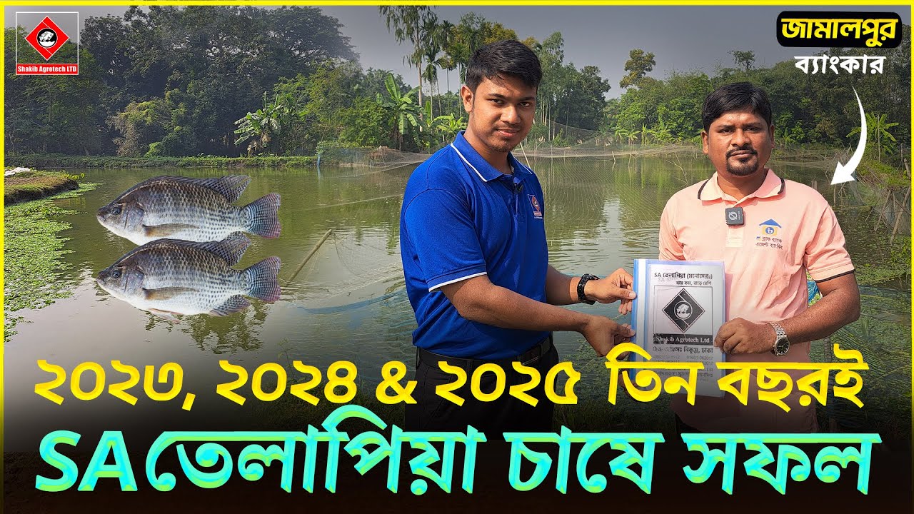 SA তেলাপিয়া চাষে সফল জামালপুরের ব্যাংকার মাহবুব || টানা ৩ বছর মনোসেক্স তেলাপিয়া চাষে সফল-Shakib AGRO