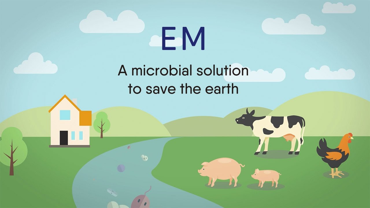 What is EM (Effective Microorganisms&reg;)