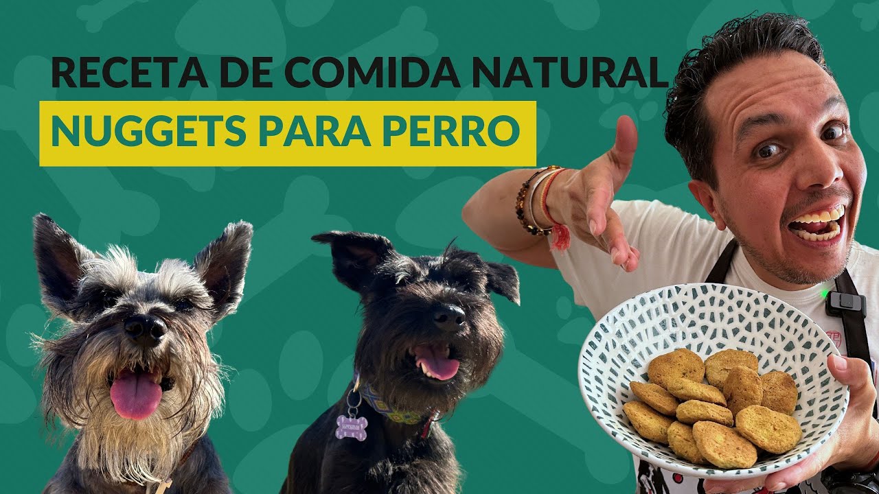 🐕🥘 Receta de comida natural para perros 🐶PERRHIJOS 🐾 Nuggets para perros🐔