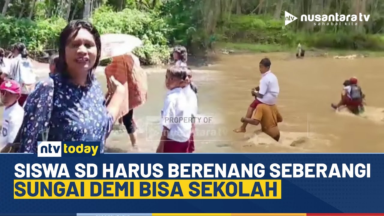 Demi Sekolah, Bocah SD di Halmahera Selatan Rela Berenang Lintasi 2 Sungai Besar | NTV TODAY