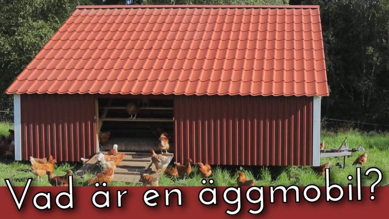 Äggmobil hos Sundhult Grönbetesägg