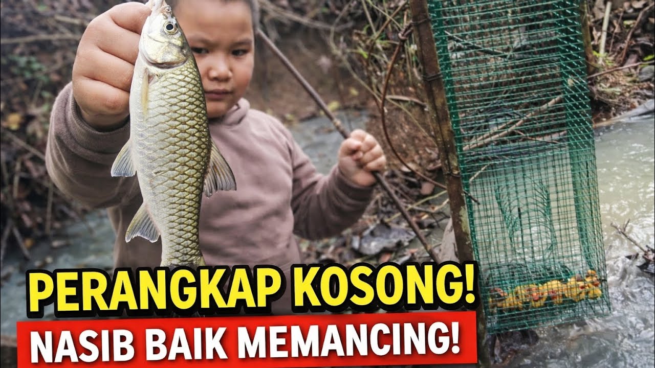 Kalau Harap Perangkap Memang Tak Makan! Nasib Baik Ada Ikan Hasil Pancing @ricolilofamily3991 