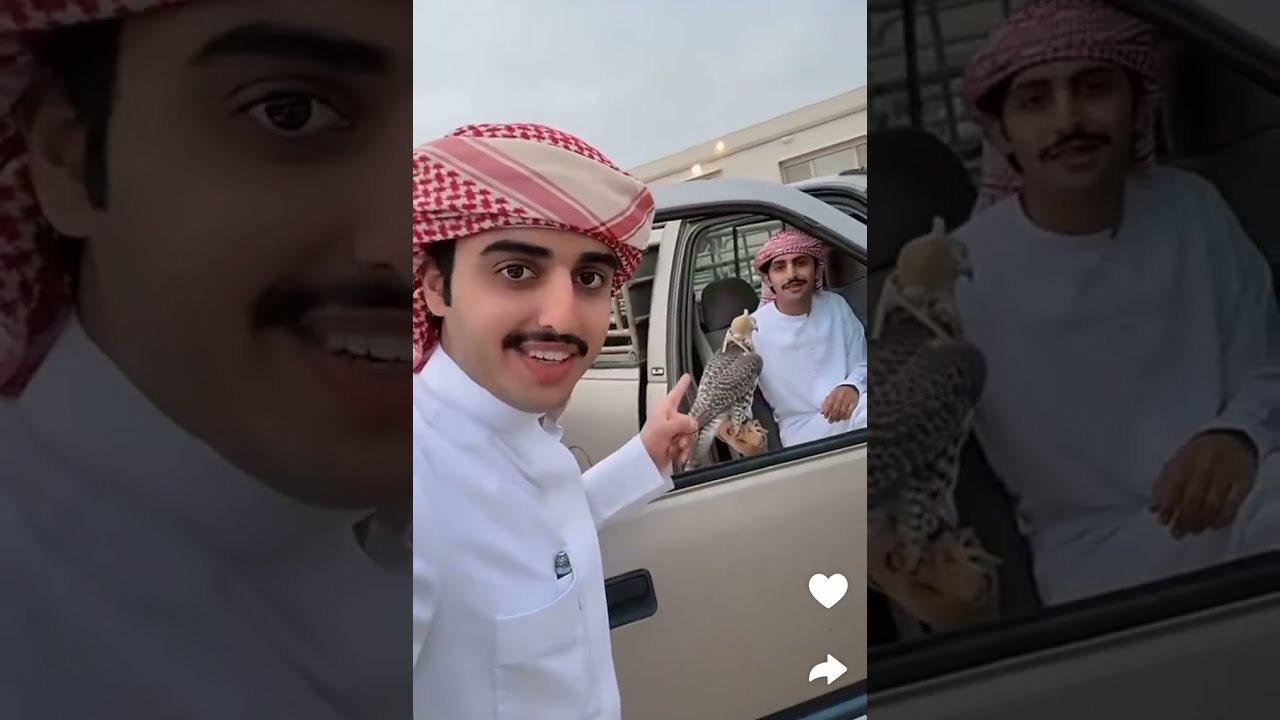 سنابات منصور آل زايد في البر🌵🐪 2/11/2023