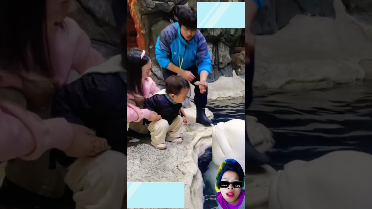 Paus beluga lucu 😂😂😂