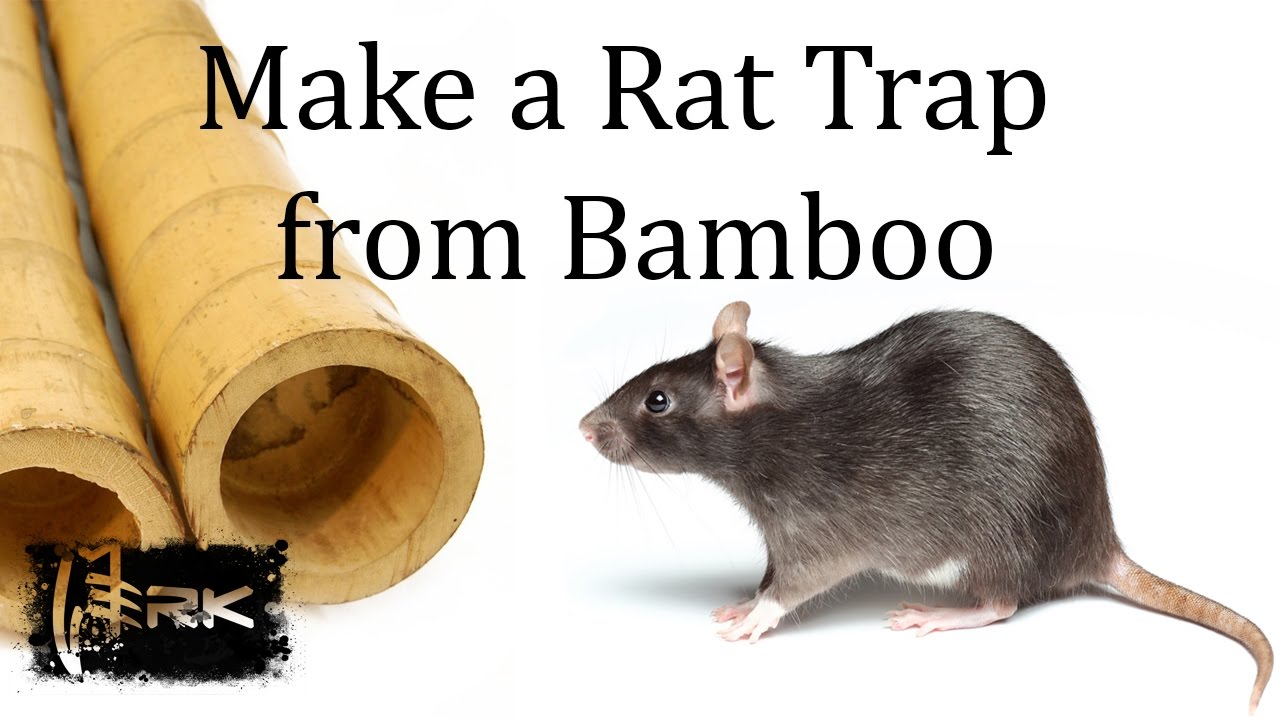How to make a bamboo Rat Trap - Tilong Rat Trap