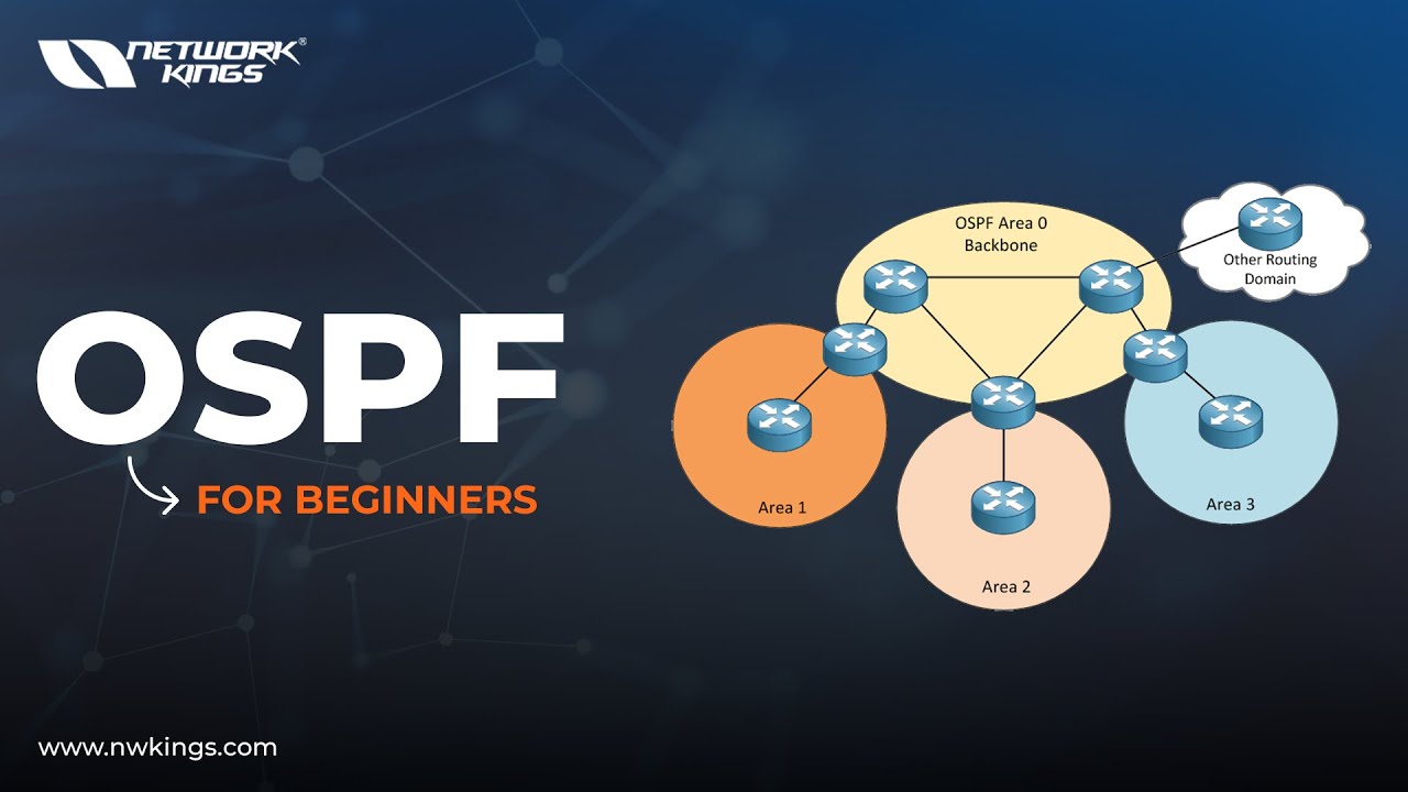Ospf  for beginners Hindi
