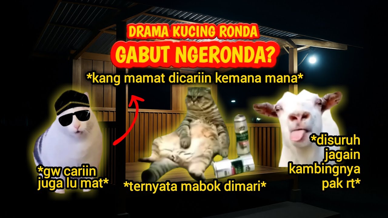 DRAMA KUCING RONDA : PAK RT MONDAR - MANDIR GAJELAS? 🙀 🐱 #kucing #memes #memekucing #catmemes #cat