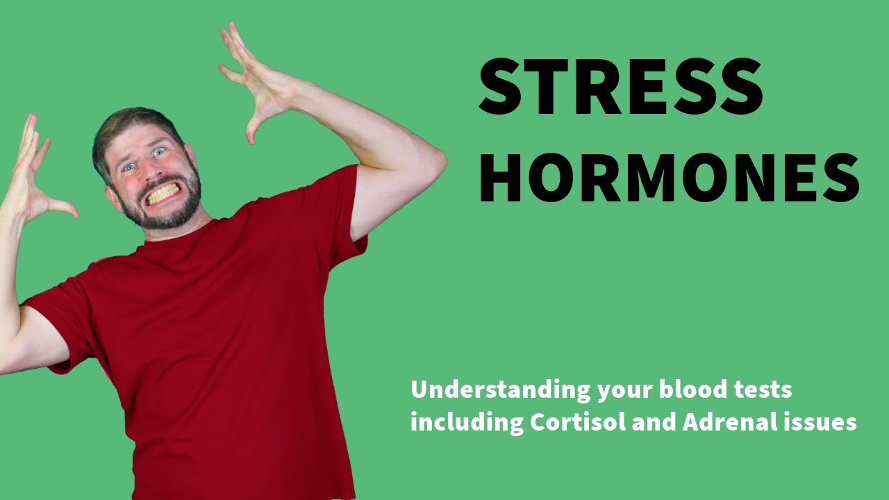 Stress hormone blood tests explained. Cortisol, Cushings and Adrenal fatigue