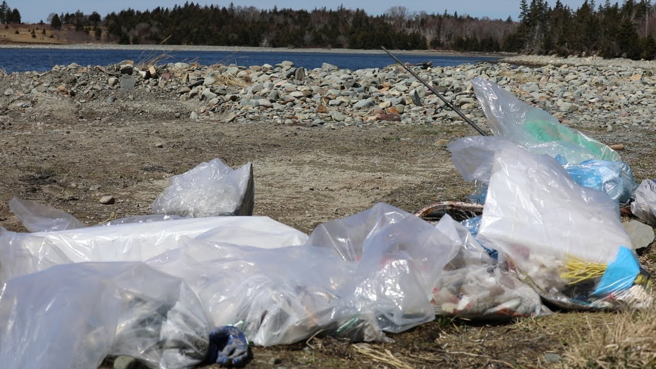 Coastal clean-ups &ndash; keeping plastic out of our oceans
