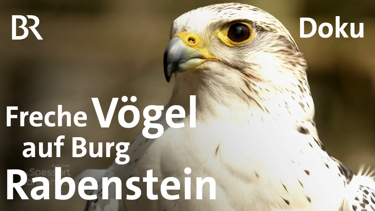 Landschaft um Burg Rabenstein: Ausflug Fränkische Schweiz | Zwischen Spessart & Karwendel | Doku |BR