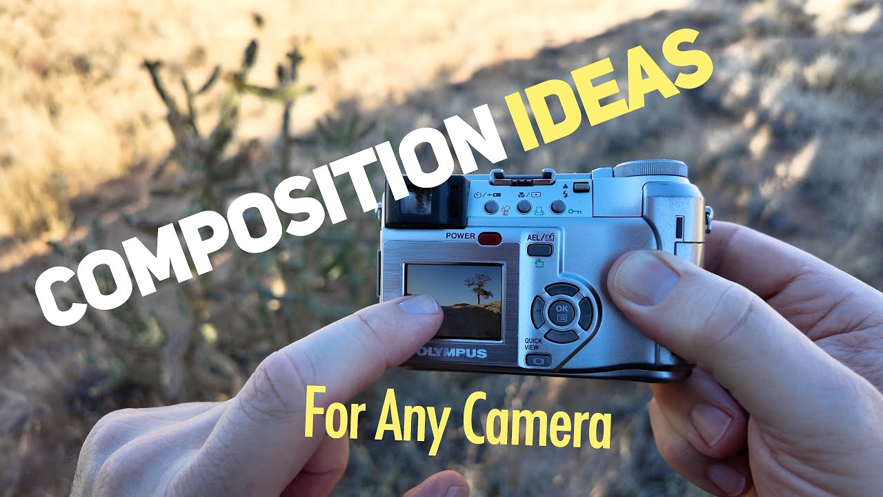 Composition Ideas for Any Camera
