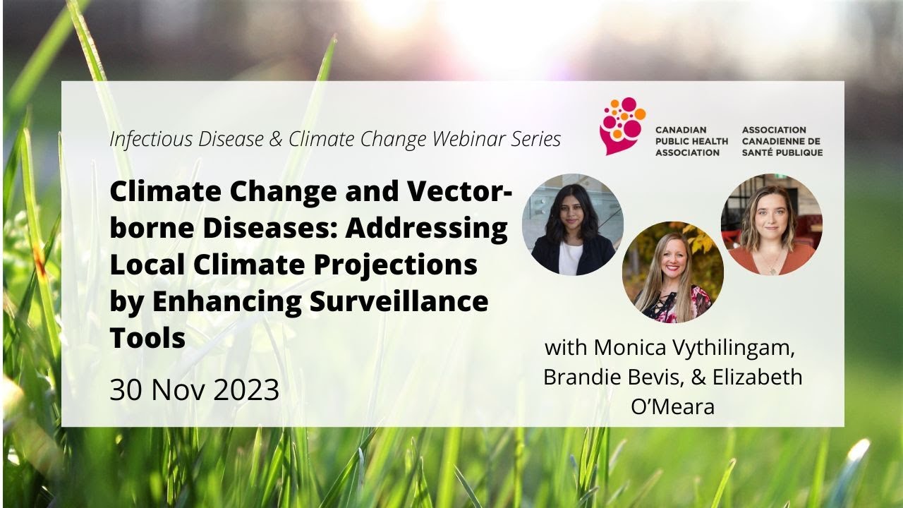 Climate Change and VBDs: Addressing Local Climate Projections by Enhancing Surveillance Tools