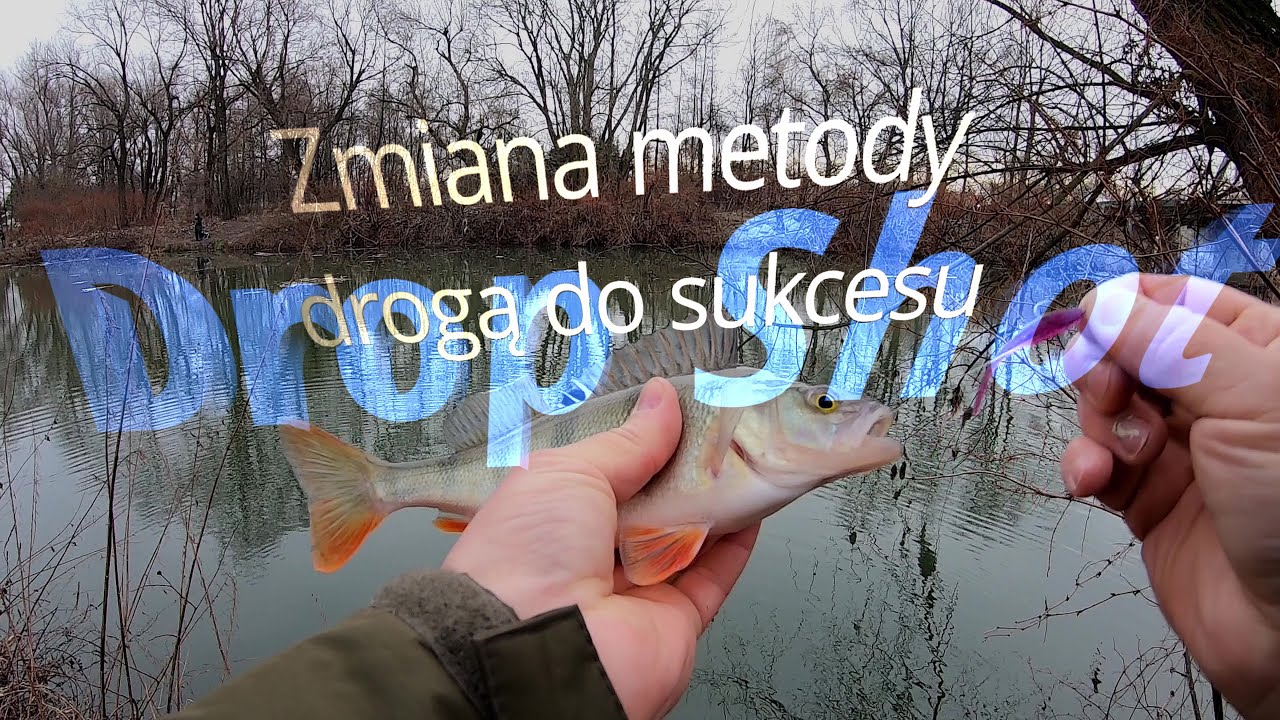 Drop Shot - zmiana metody drogą do sukcesu