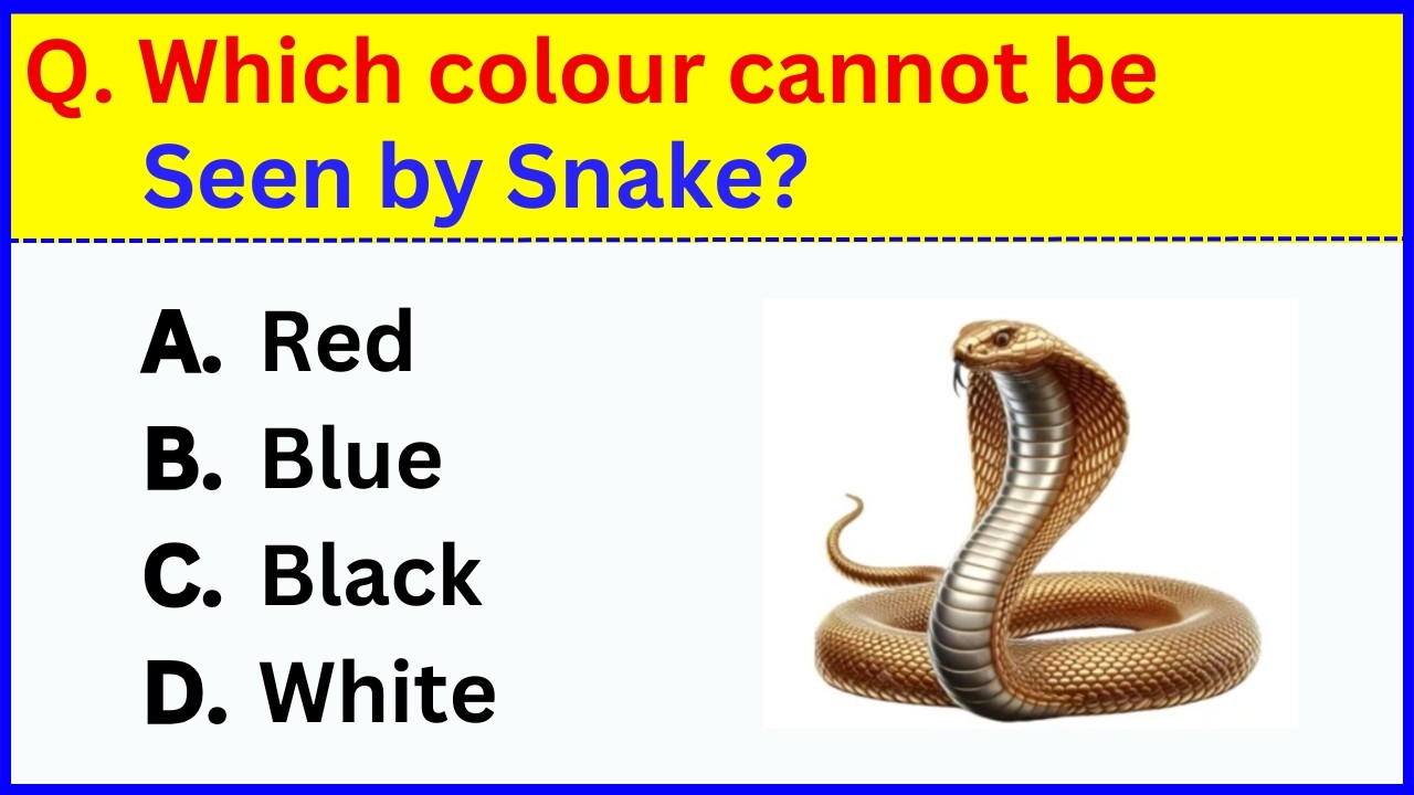 Top 35 interesting Gk Question and Answer | Gk Questions and Answers | Gk Quiz in English | GK GS
