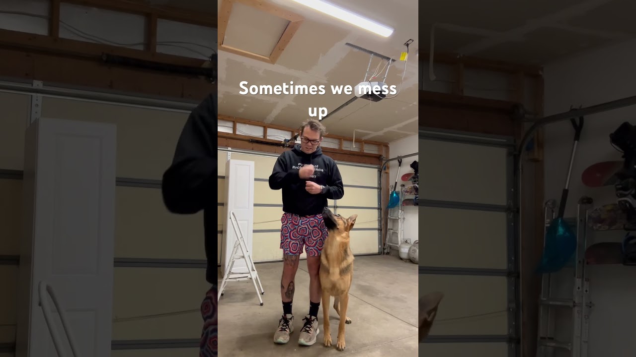 #tricks #dog #dogtraining #tipsandtricks #germanshepherd #puppytrainingtips #dogs #dogtricks #howto