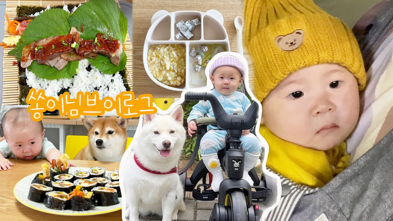 노래부르는 8개월 아기/삼겹살 김밥 먹방/자기주도 이유식/이 앓이 하는 아기/쿠키 만들기/촉감놀이/