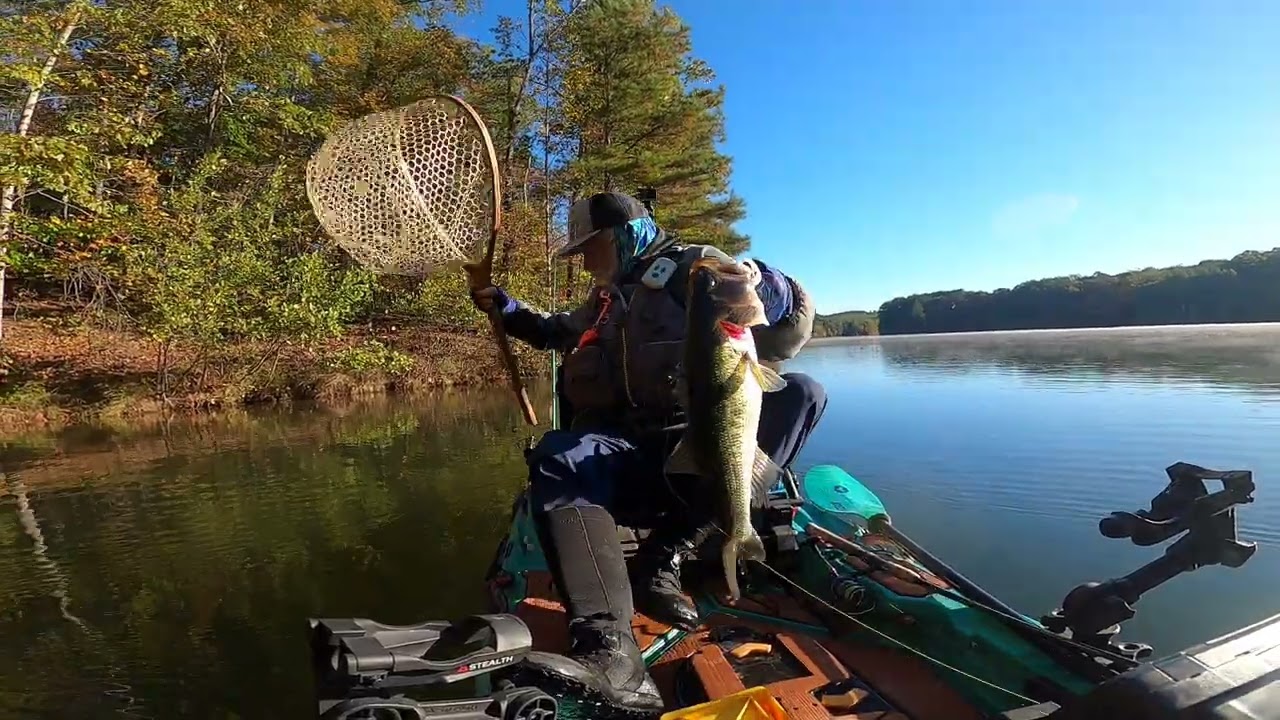 Fall Bass are Eatin