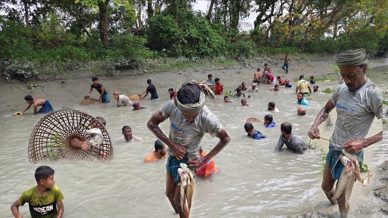 Fishing festival is going on with the big canal of the village and Boal fish is available।