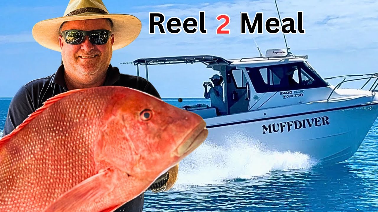 REEL 2 MEAL! - Red Emperor, Coral Trout & a 1980's Cruise Craft Revival!