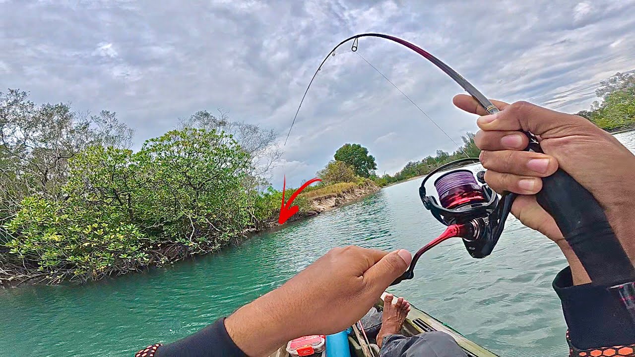 PREDATOR MUARA ..!! ULTRALIGHT CASTING DI MUARA MENGGUNAKAN DAIDO EMPEROR GEN 3 , KAYAK FISHING