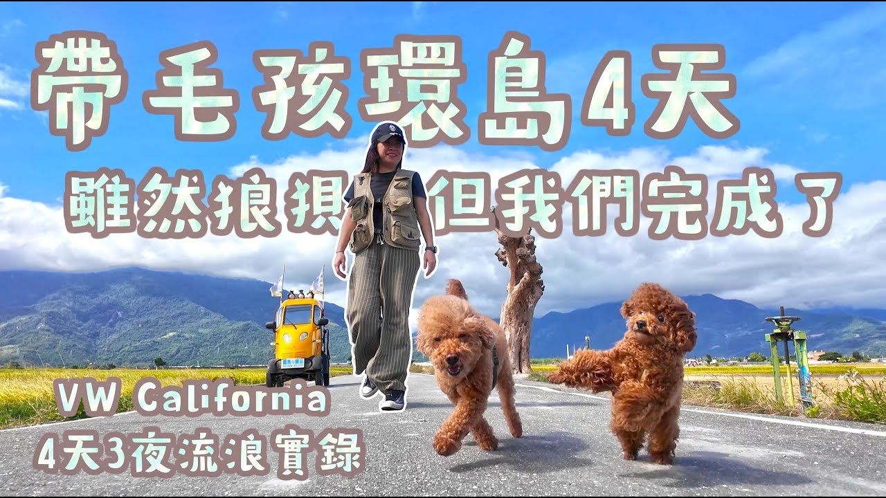 「我是露營車業者，怎麼可以不睡在路邊？」VW California 加州號 | 帶毛孩環島4天3夜 | 這趟旅程充滿了意外，卻是我和托托拉拉最珍貴的回憶