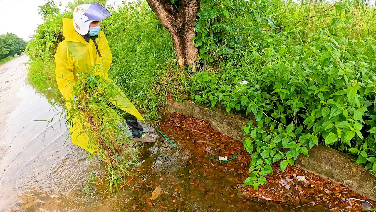 Restoring Hope Drain Cleaning After Severe Street Flooding